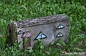 VBS_4947 - Il bosco fatato - Montaldo Roero